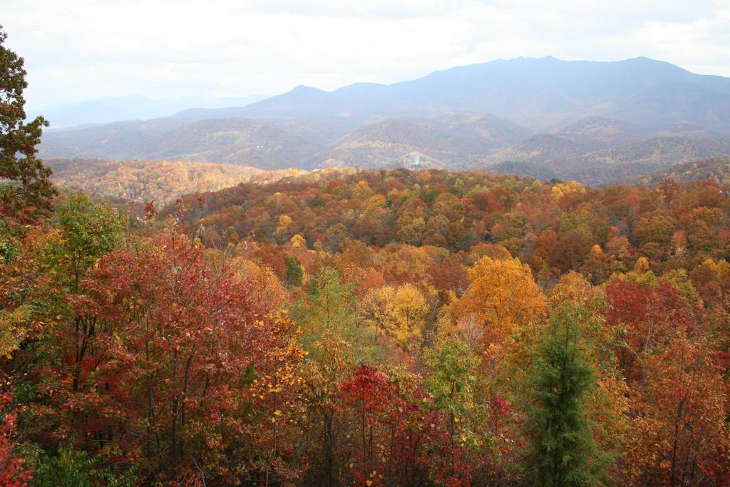 The Foxtrot Bed And Breakfast Gatlinburg Exterior photo